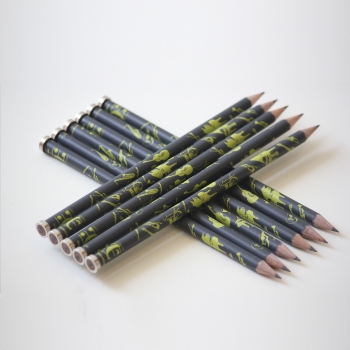 Bleistift Instrumente schwarz/grau/bunt mit Magnet   - Coverbild-Thumbnail